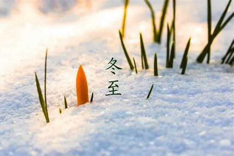 冬至过节的习俗源于哪个朝代 冬至节的由来起源