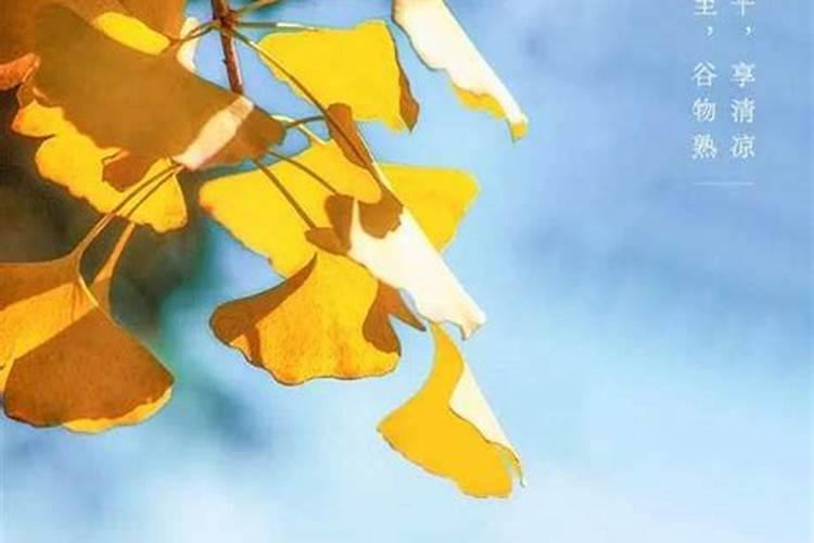 秋分节气的含义是什么 秋分节气的由来和风俗