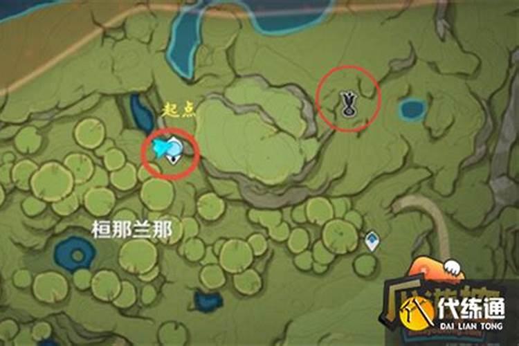 梦之树开启前置任务是什么