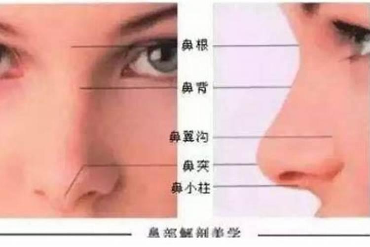 露鼻孔就一定漏财吗