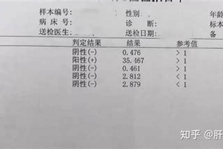 属马人哪一年犯太岁最严重,各方面运势如何