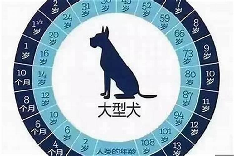 属狗的农历四月份运势如何