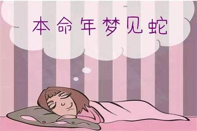 10年属蛇犯太岁怎么化解？急求有缘大师高人帮助!!!