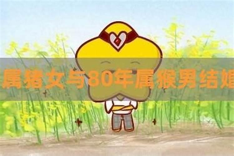 姻缘测算:80年属猴男一生婚姻运怎么样