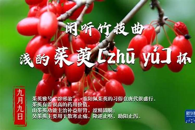 属狗的几月出生最好