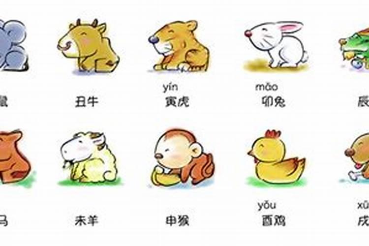生肖表十二顺序对应年份