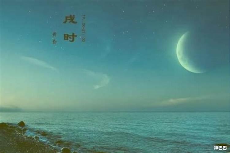 1982.11.23,戌时(阳历)命运如何？