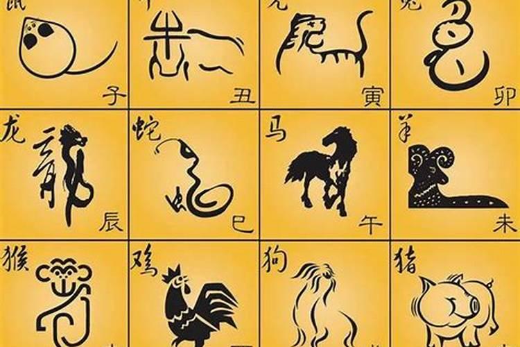 五七相合发大财什么生肖