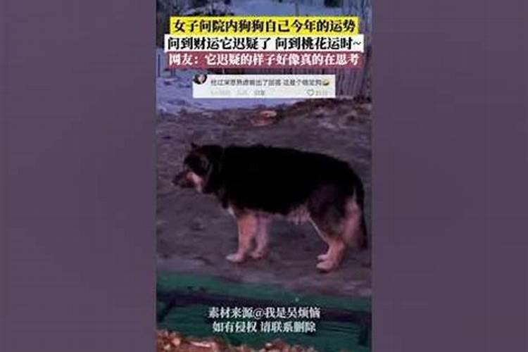 东四命好还是西四命好
