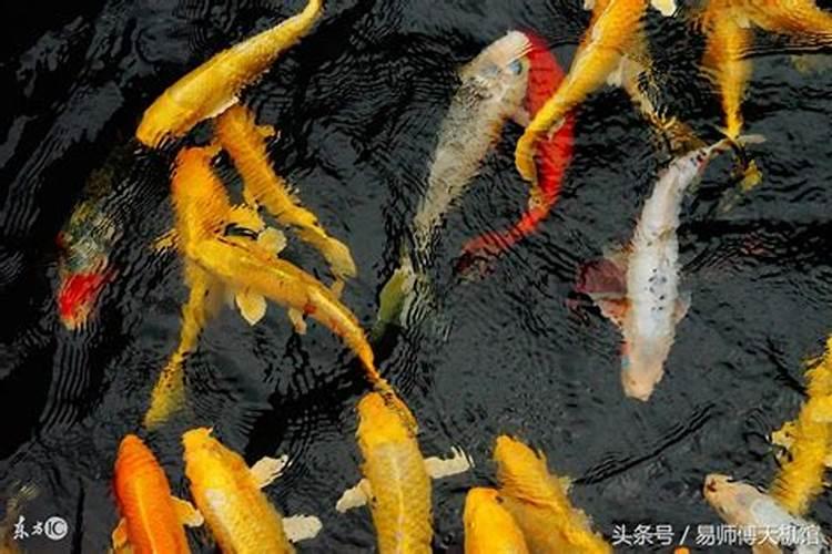2025属牛的几月有一难