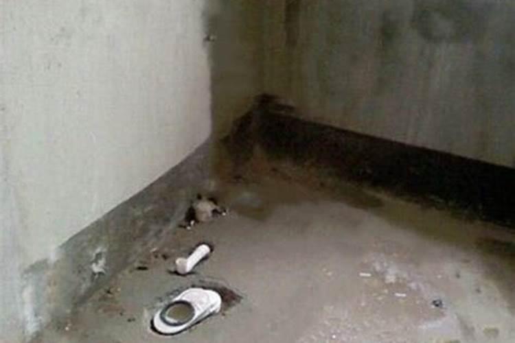 梦见洗马桶是什么意思？