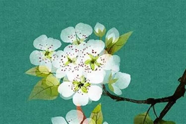 什么人能投胎在清明节出生清明节出生的特征