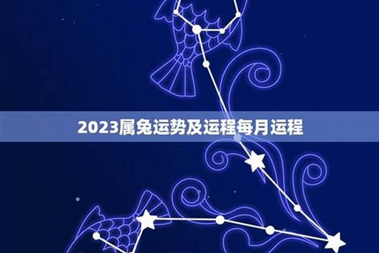 属兔5月运势如何