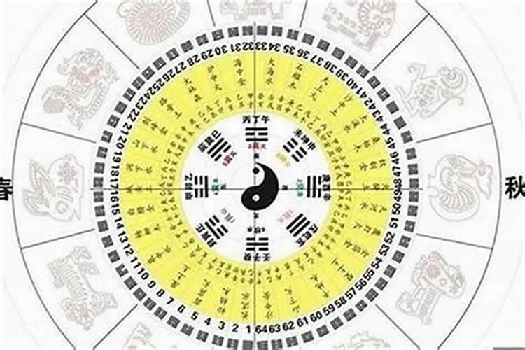 81年属鸡做什么生意最旺