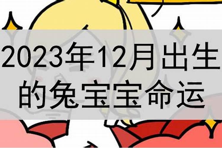 农历十二月出生的属兔人运程