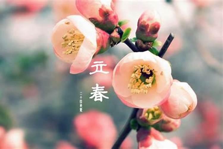 立春的下一个节气是什么 立春后是什么节气