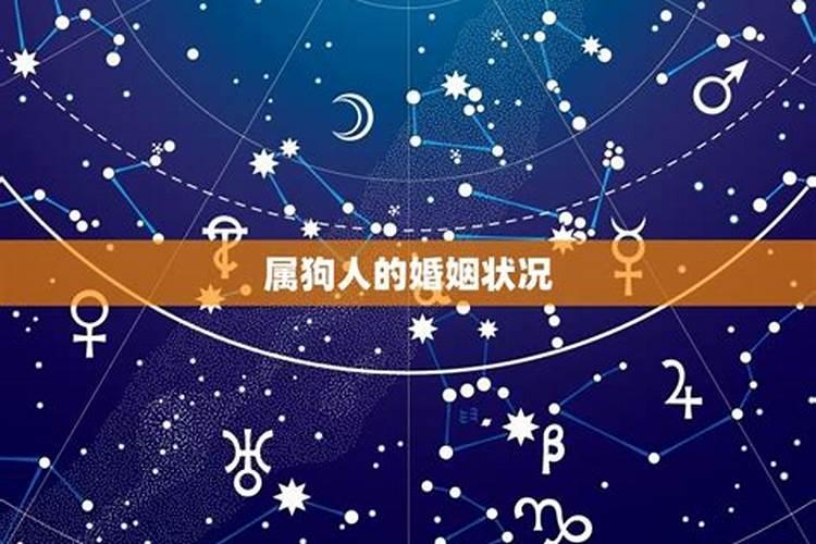生肖狗2025年运势及运程如何