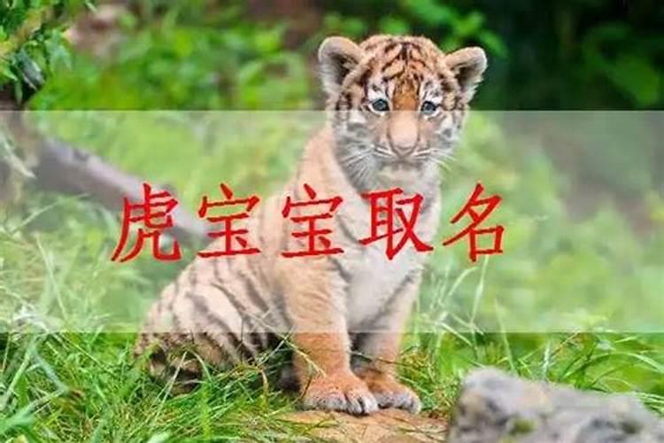 立秋前后出生的宝宝怎么取名美好又好听男生名字