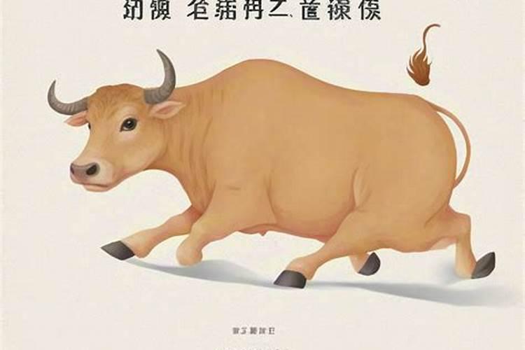 属牛人蛇年运势2025年运程如何