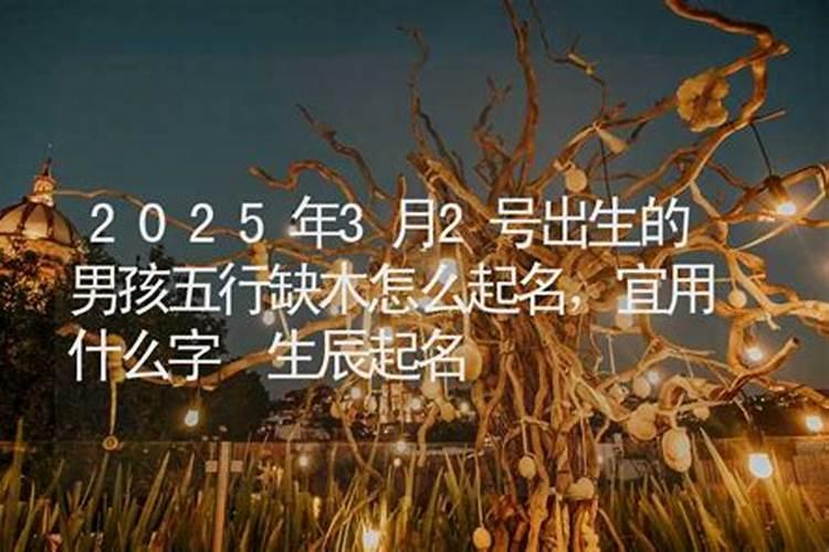 2025年6月2日出生男孩八字五行分析,男宝宝五行起名大全