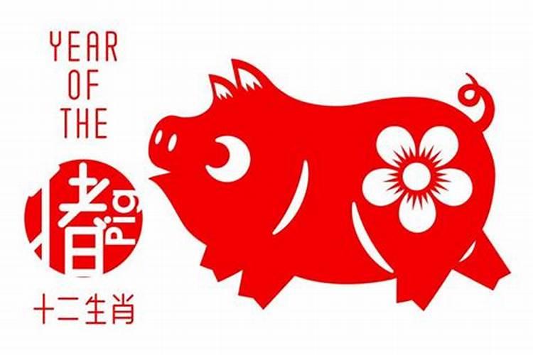 属猪人运势分析