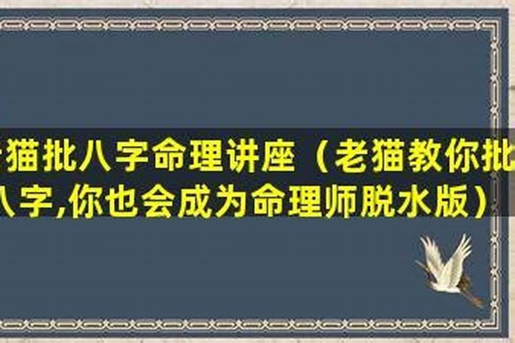 老猫讲批八字,老猫批八字准吗