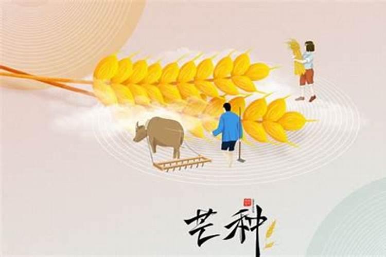 芒种和夏至是什么意思 夏至的白昼时间最长