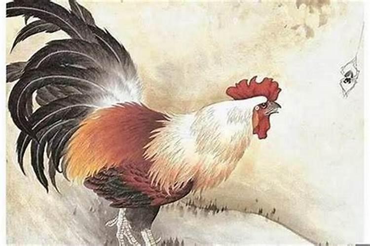 属鸡的人配属什么人可以吗