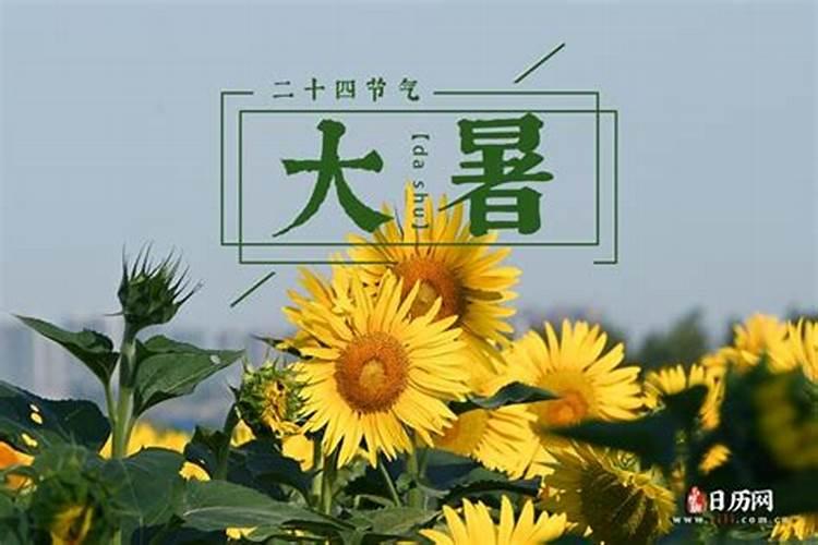 大暑出生的孩子