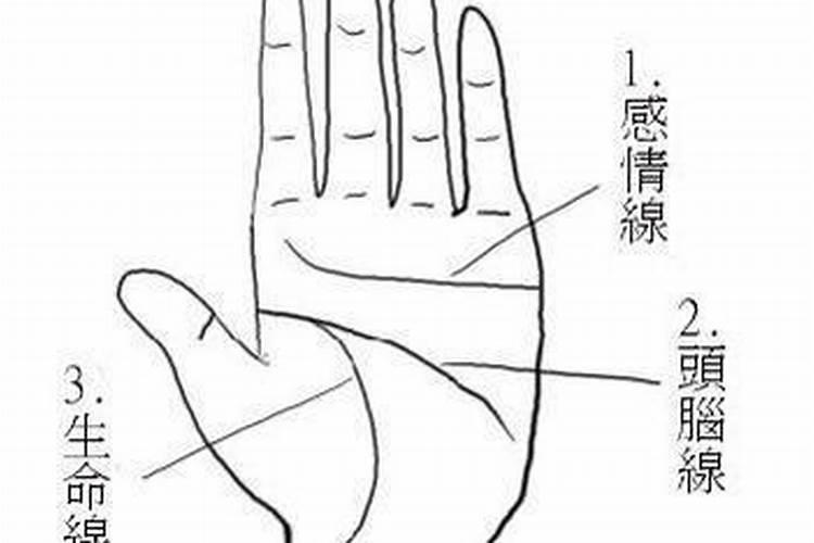 右手断掌纹的男人命运 断掌纹的男人命运怎么样两边