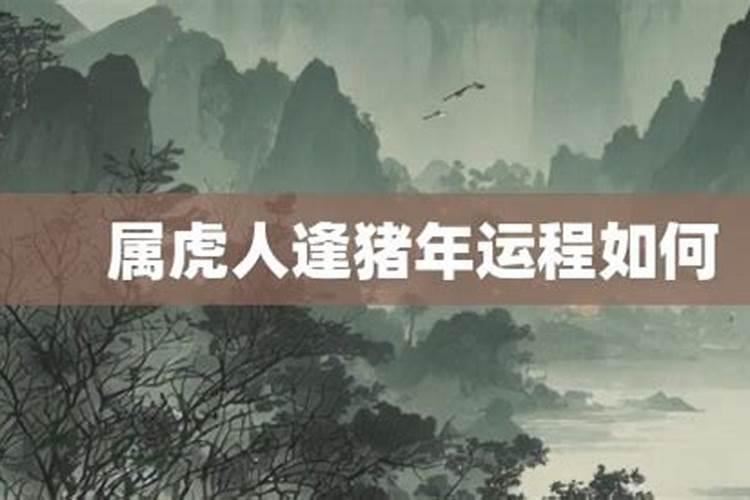 梦见别人盖房子坍塌了的预兆