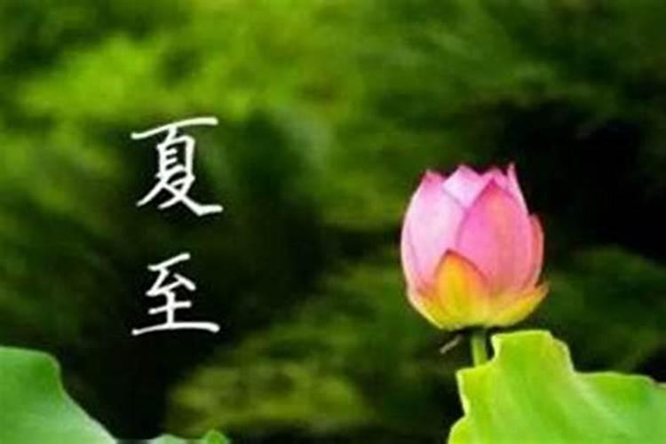 正月初二出生的人命运好不好