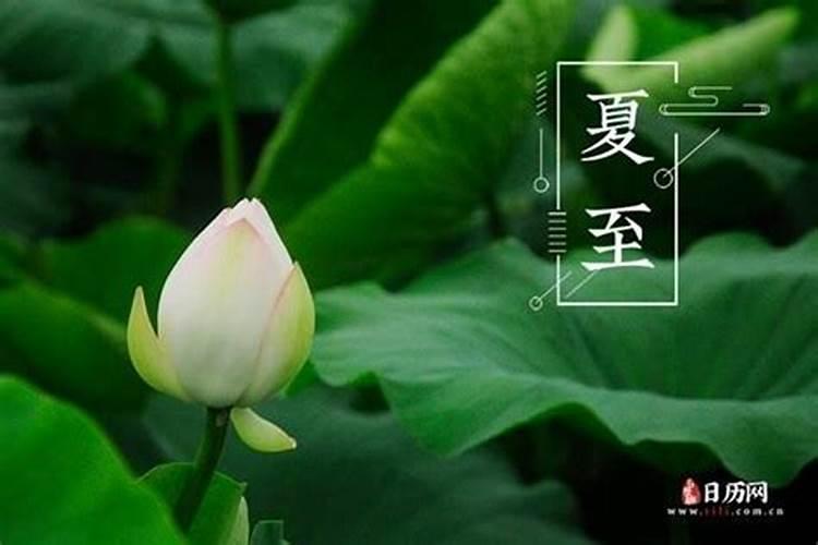 正月初二是什么日子