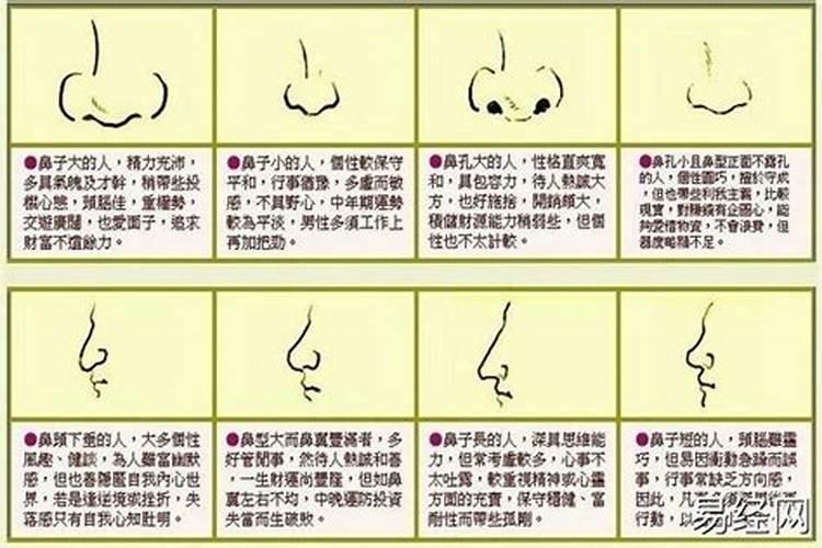 鼻子风水怎么看财运