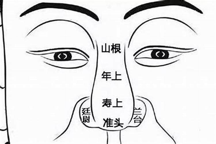 悬胆鼻山根低人的财运解读