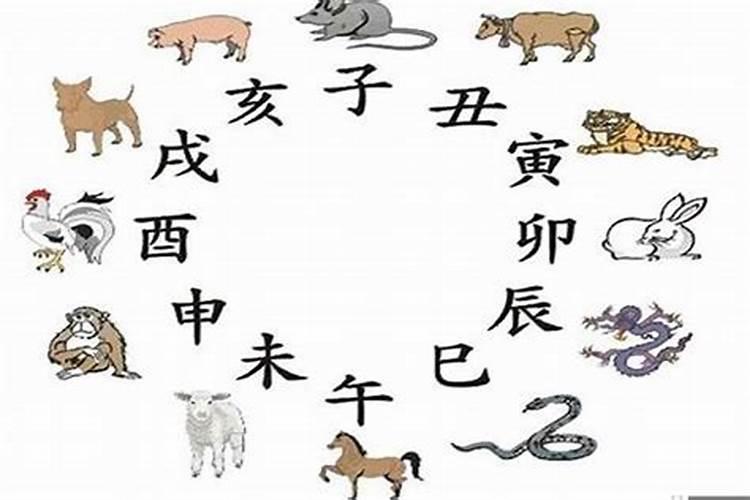2025属狗每月运势运程 2025属狗人全年运势