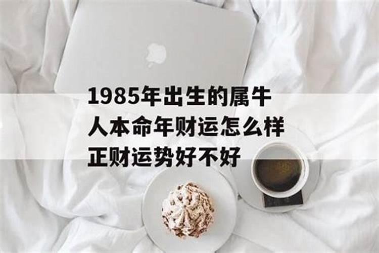 1985年几月出生好