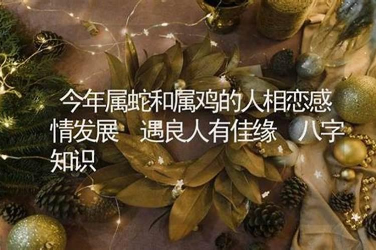 93年属鸡人在2024年每月运势 2024年属蛇人的全年运势