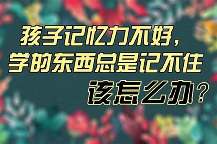 佛教居士可以做法会吗