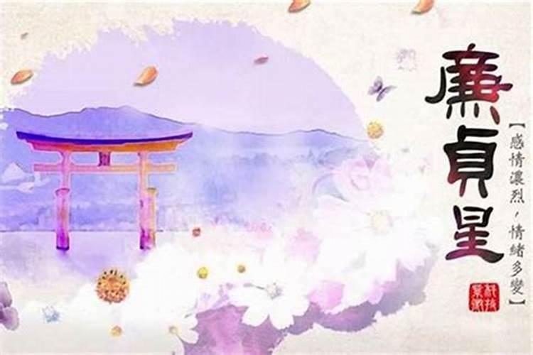 命主武曲身主天同是什么意思？