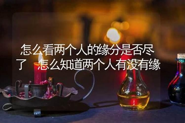 和一个人有缘分的表现