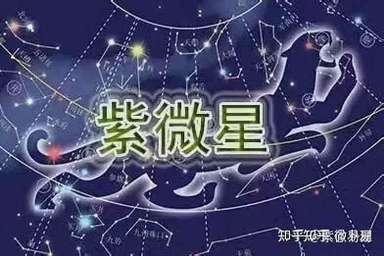 十四主星解析:命理特征与运势分析