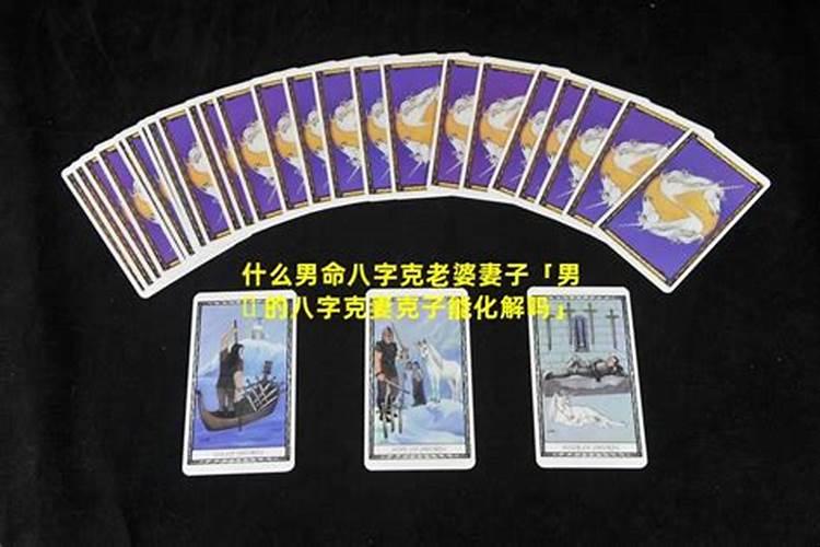 2025冲太岁犯太岁的生肖