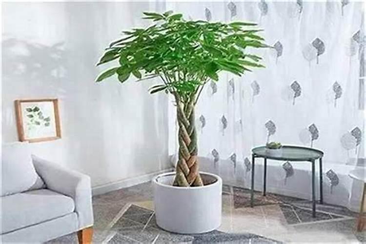 店里没生意怎么招财 店里放貔貅最旺财