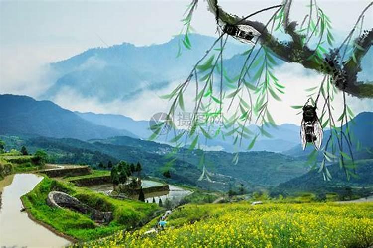 广西十大适合清明节旅游的地方
