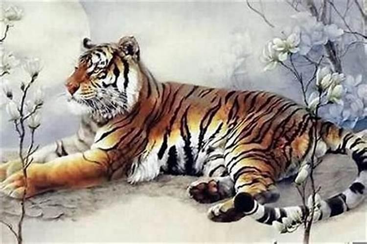 属狗和属蛇的合不合