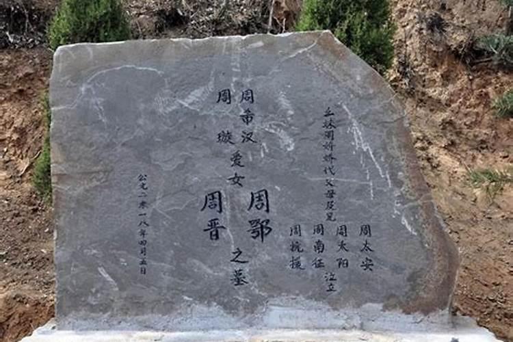 生肖龙女最怕出生几月？