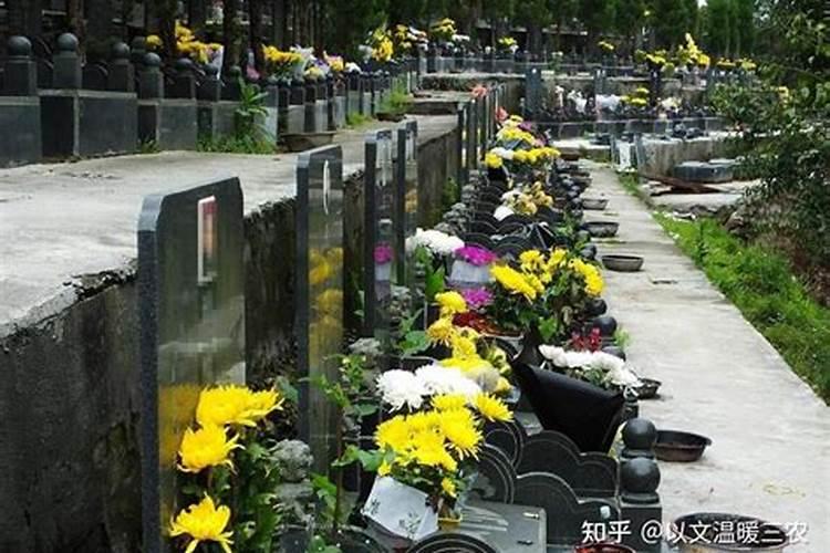 冬至上坟是冬至当天去吗 冬至为什么要上坟