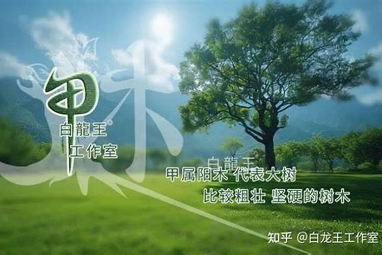 劫财格女命伤官多 ,财运发展不顺!