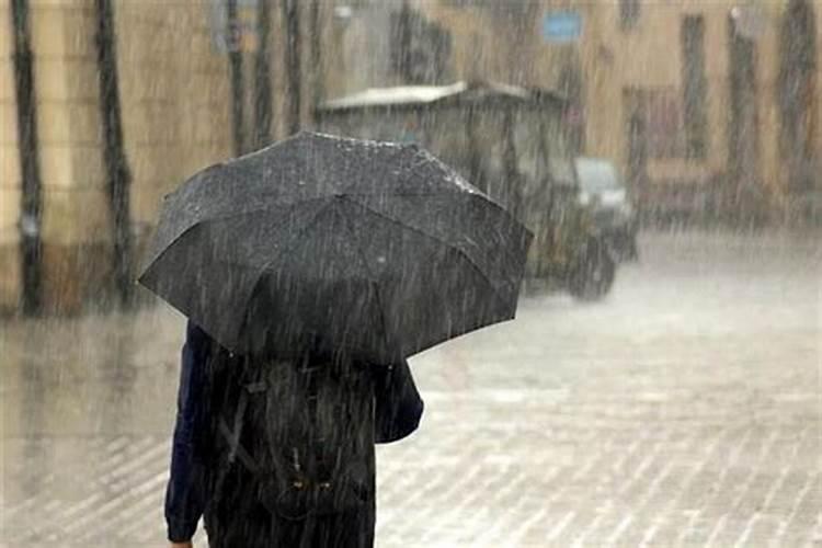 梦见下大雨在路上而没被淋